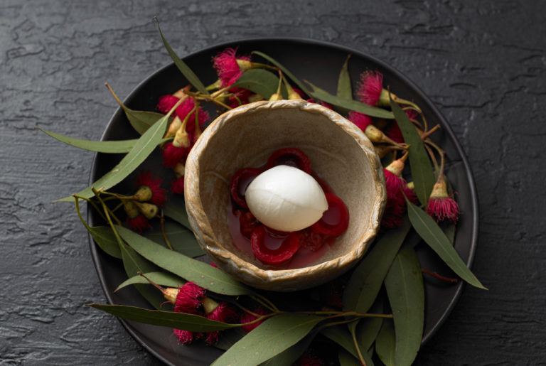 Red-flowering-eucalyptus-ice-cream-quandongs-stewed-with-rhubarb-and-mead-768x515
