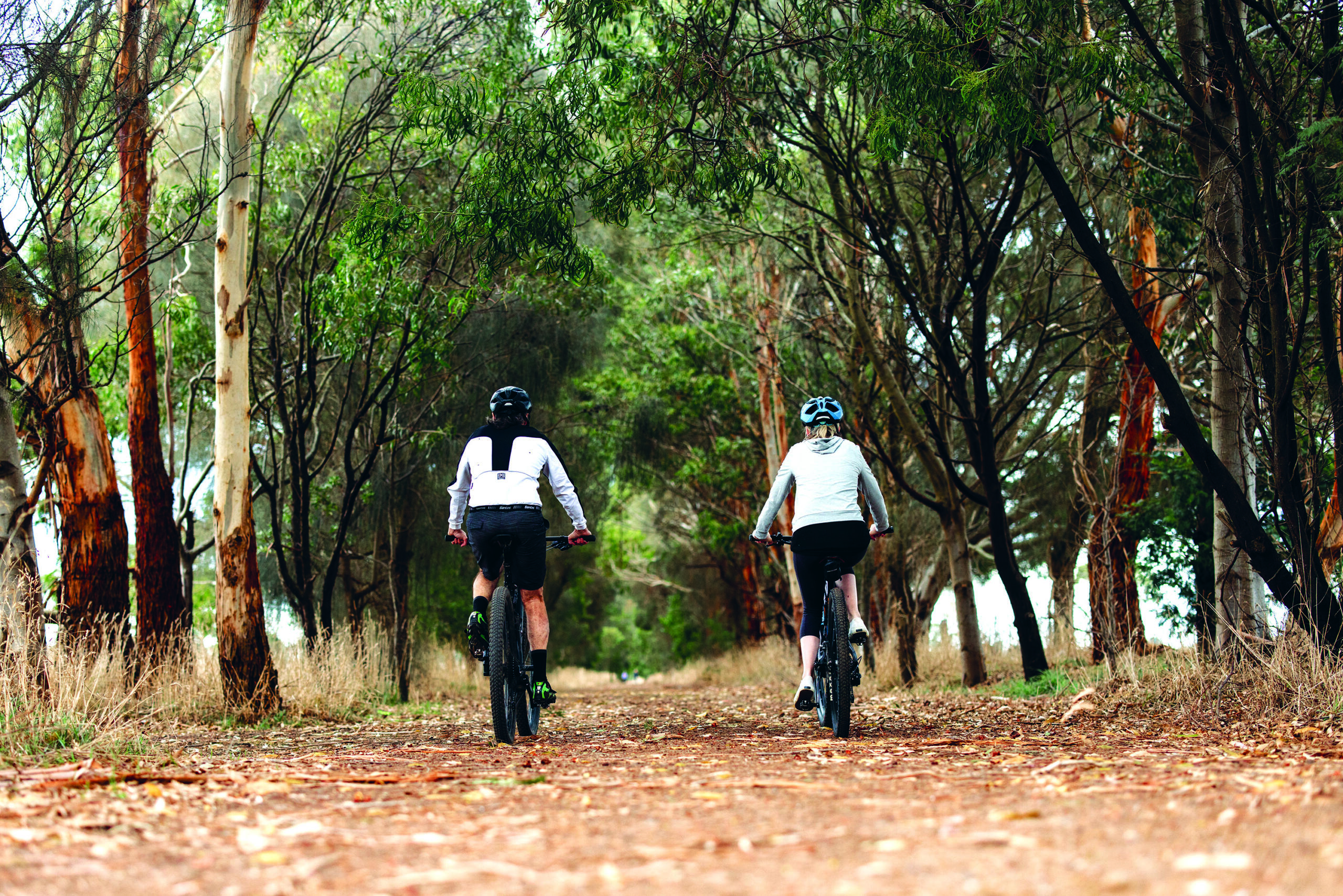 Dj9a2677camperdown To Timboon Rail Trail Volcanic Lakes And Plains Zoe Strapp