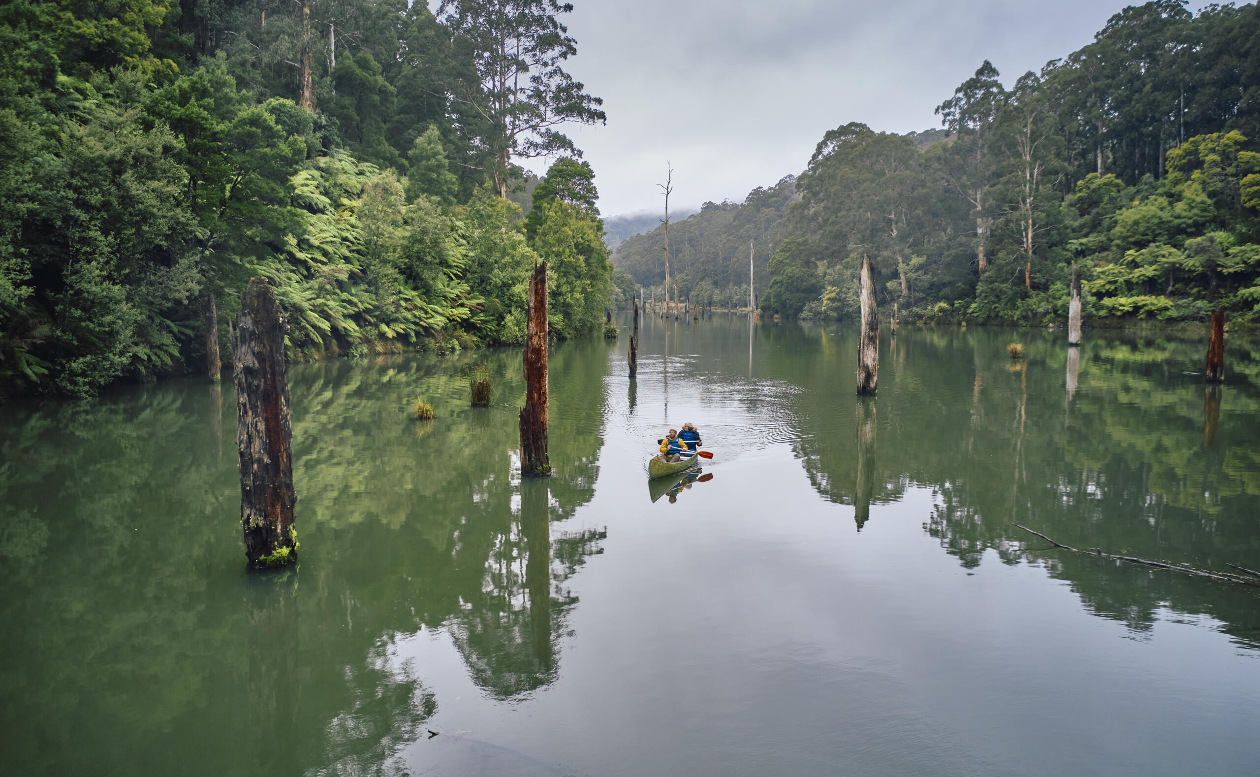 Lake Elizabeth Otways