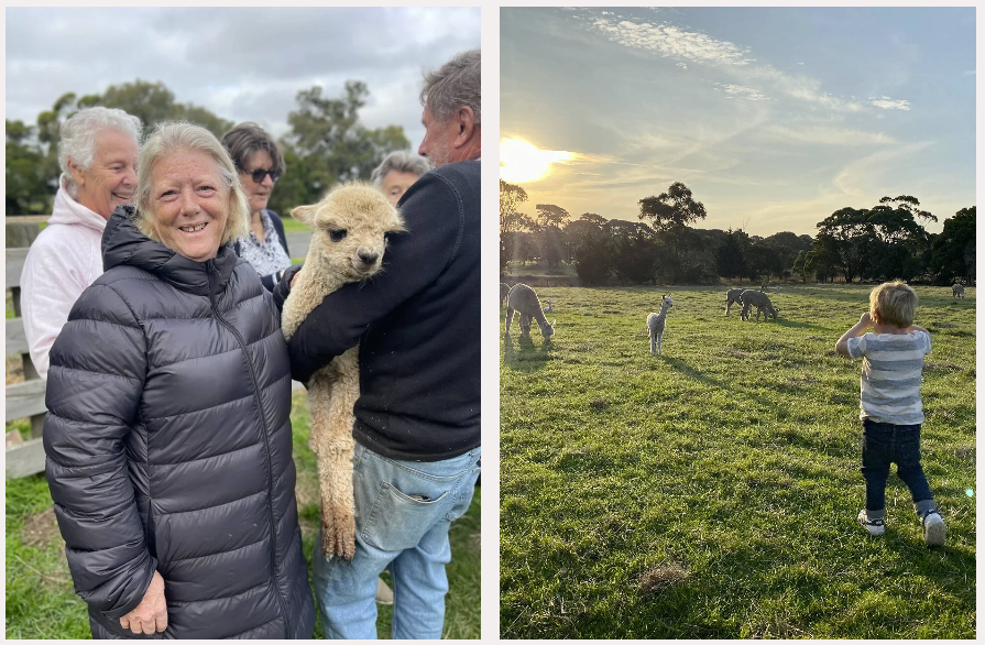 Heritage Alpaca Co