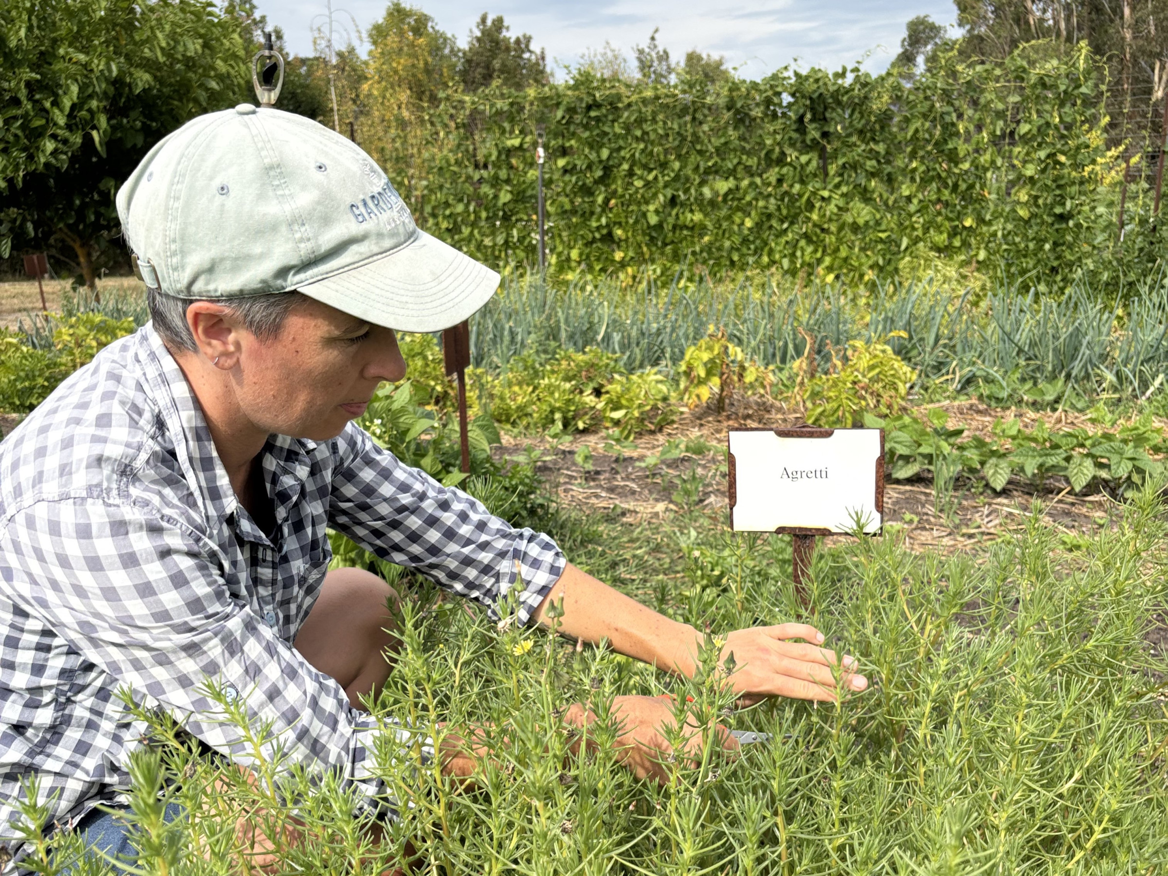 Brae Farm Guided Tours  
